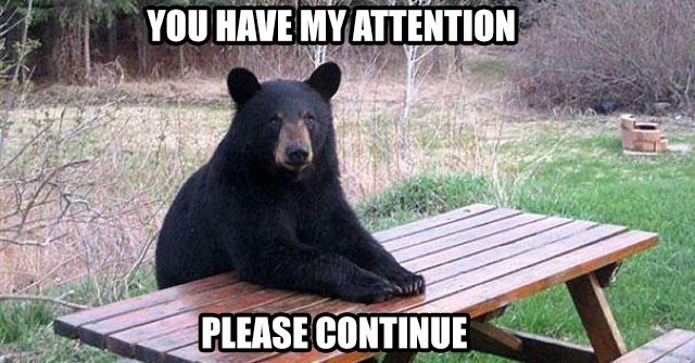 A black bear sitting at a wooden picnic table in an outdoor setting, with the caption 'You have my attention, please continue'